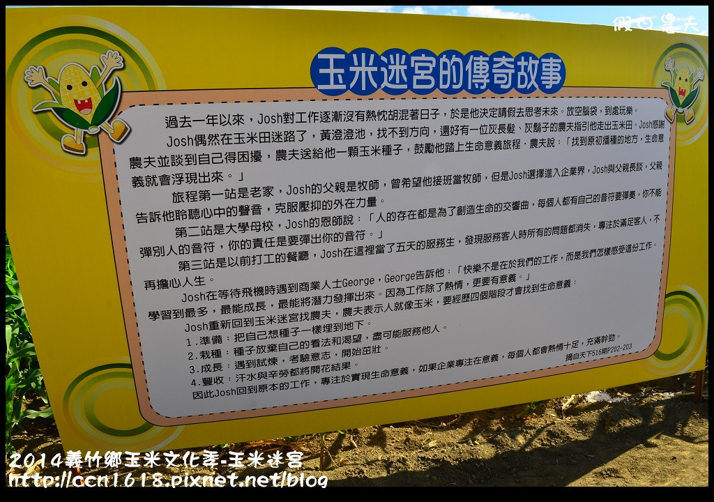 【2014義竹玉米文化季】全台最大玉米迷宮‧歡迎來挑戰你的方向感‧大人小孩都好玩 @假日農夫愛趴趴照