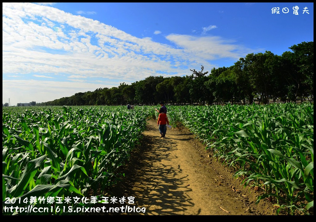 【2014義竹玉米文化季】全台最大玉米迷宮‧歡迎來挑戰你的方向感‧大人小孩都好玩 @假日農夫愛趴趴照
