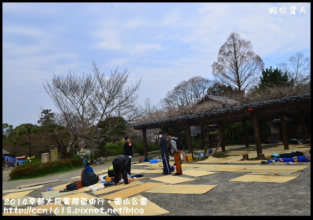 【日本旅遊】京都大阪賞櫻自由行．日夜皆美的圓山公園 @假日農夫愛趴趴照