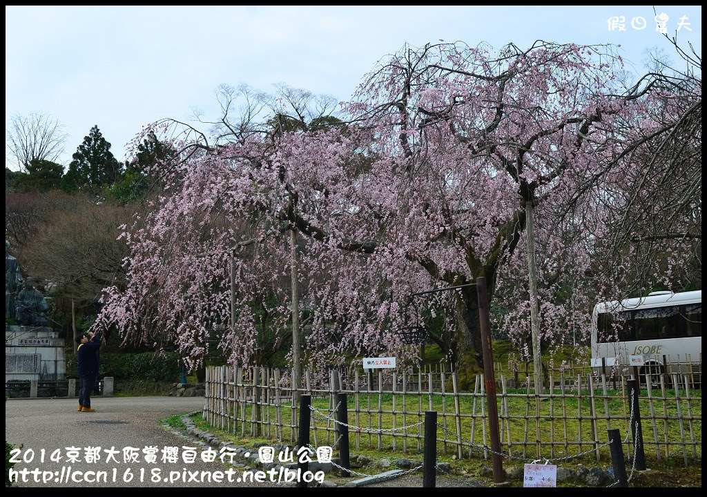 【日本旅遊】京都大阪賞櫻自由行．日夜皆美的圓山公園 @假日農夫愛趴趴照