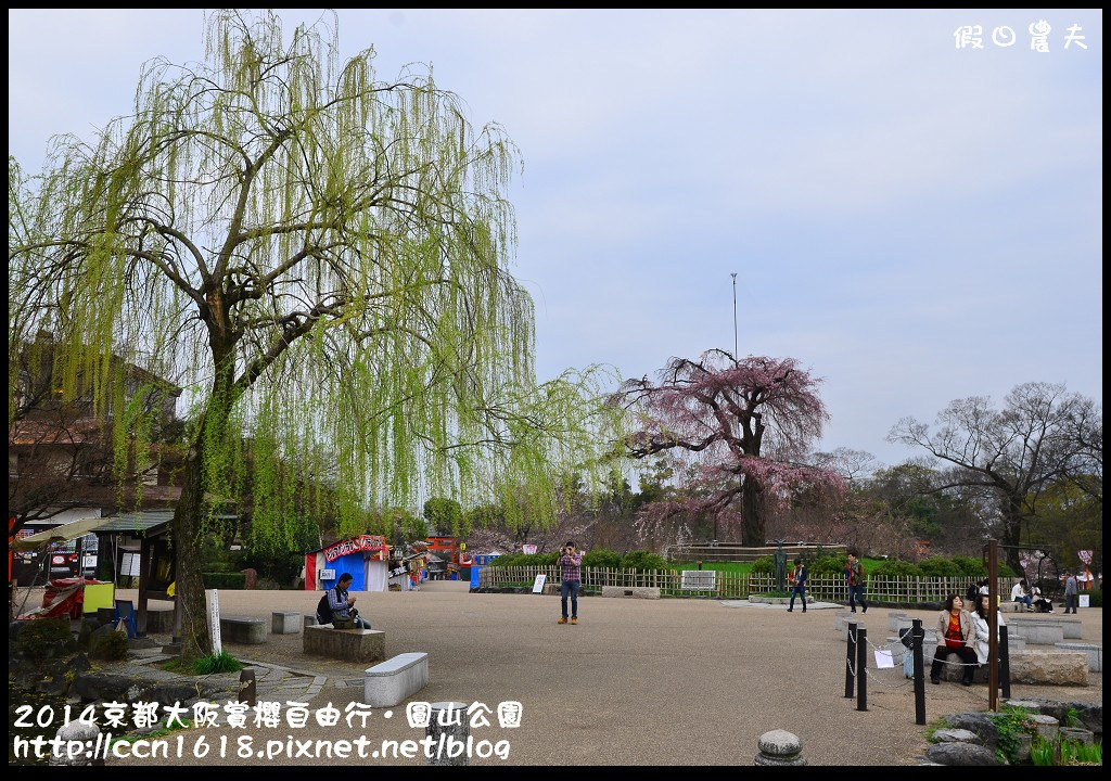 【日本旅遊】京都大阪賞櫻自由行．日夜皆美的圓山公園 @假日農夫愛趴趴照