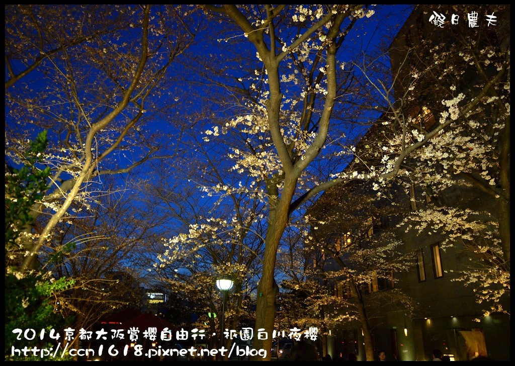 【日本旅遊】京都大阪賞櫻自由行．祇園白川夜櫻 @假日農夫愛趴趴照