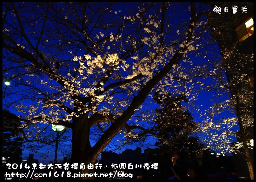 【日本旅遊】京都大阪賞櫻自由行．祇園白川夜櫻 @假日農夫愛趴趴照