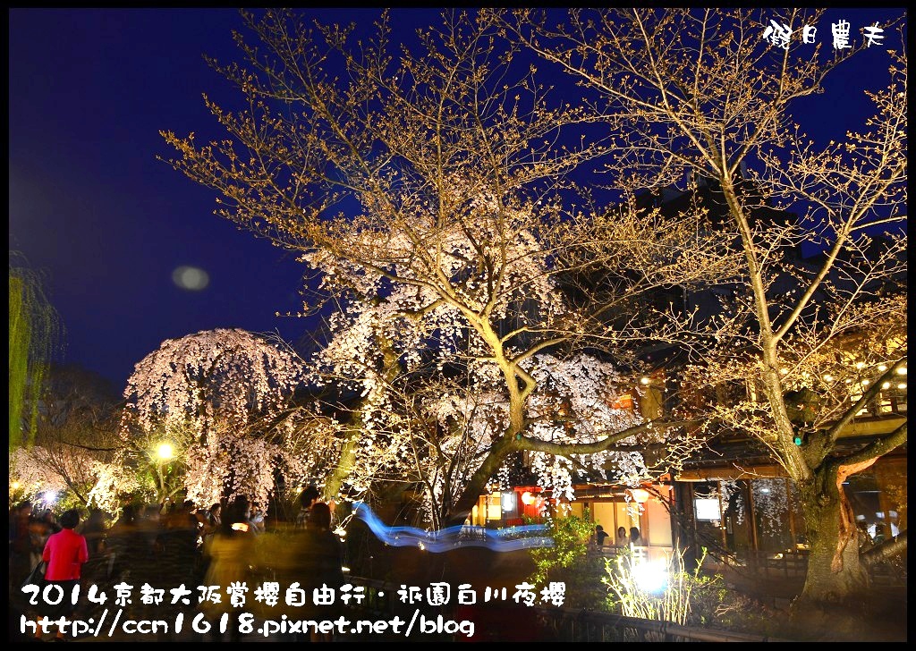 【日本旅遊】京都大阪賞櫻自由行．祇園白川夜櫻 @假日農夫愛趴趴照