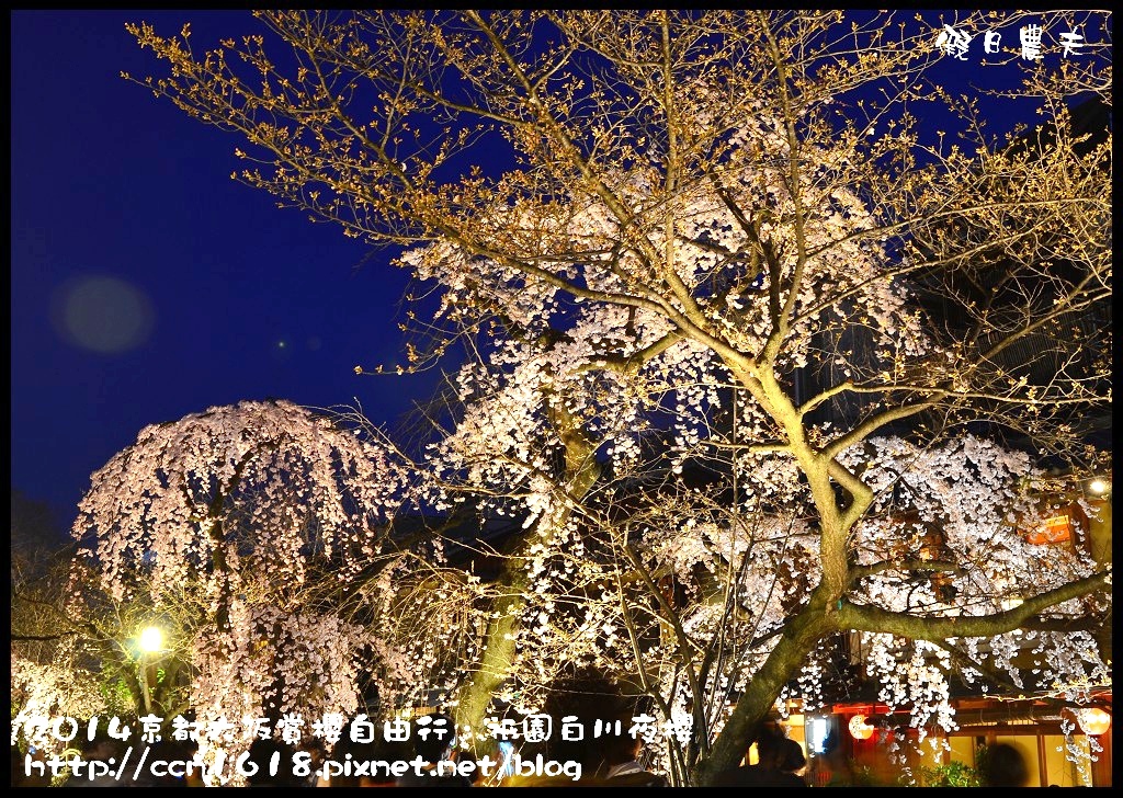 【日本旅遊】京都大阪賞櫻自由行．祇園白川夜櫻 @假日農夫愛趴趴照