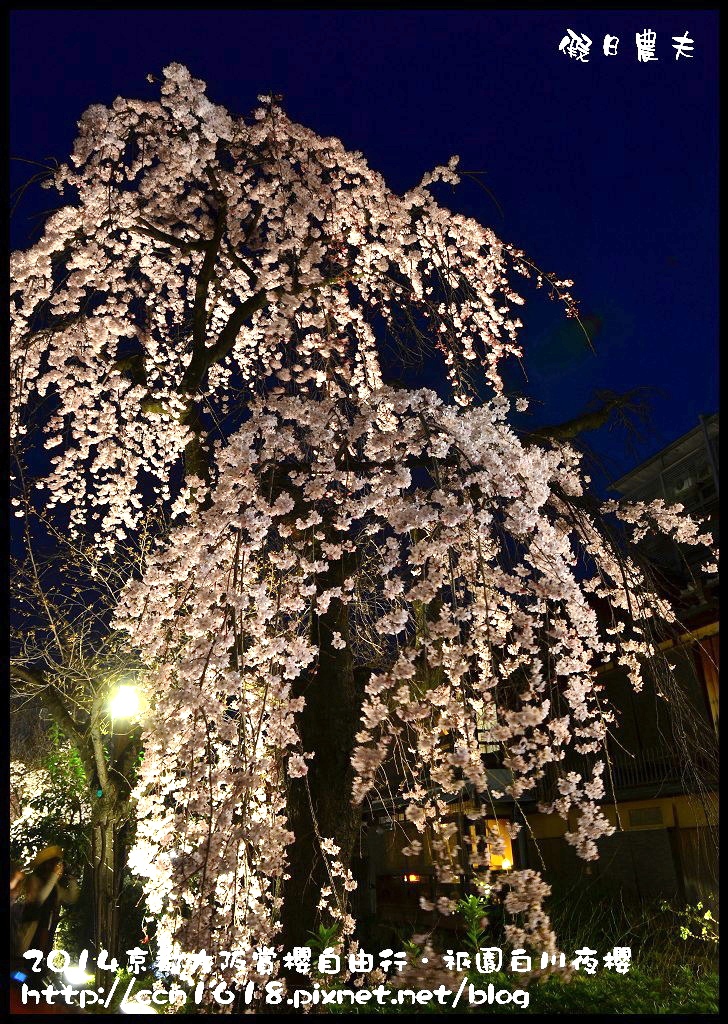 【日本旅遊】京都大阪賞櫻自由行．祇園白川夜櫻 @假日農夫愛趴趴照