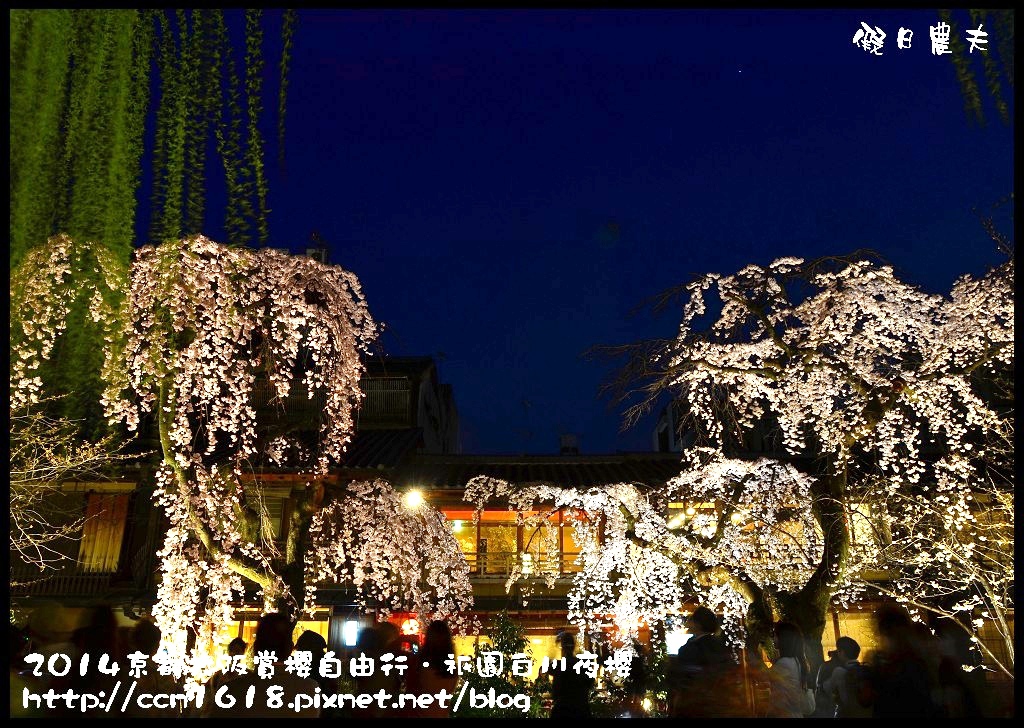 【日本旅遊】京都大阪賞櫻自由行．祇園白川夜櫻 @假日農夫愛趴趴照