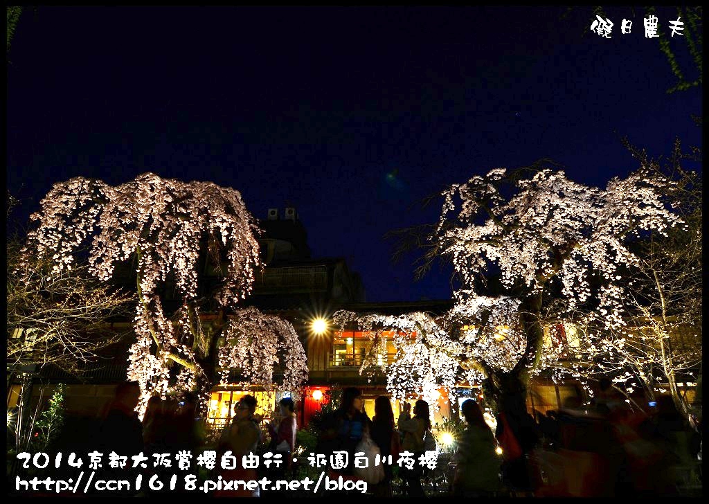 【日本旅遊】京都大阪賞櫻自由行．祇園白川夜櫻 @假日農夫愛趴趴照