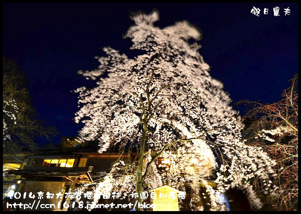 【日本旅遊】京都大阪賞櫻自由行．祇園白川夜櫻 @假日農夫愛趴趴照