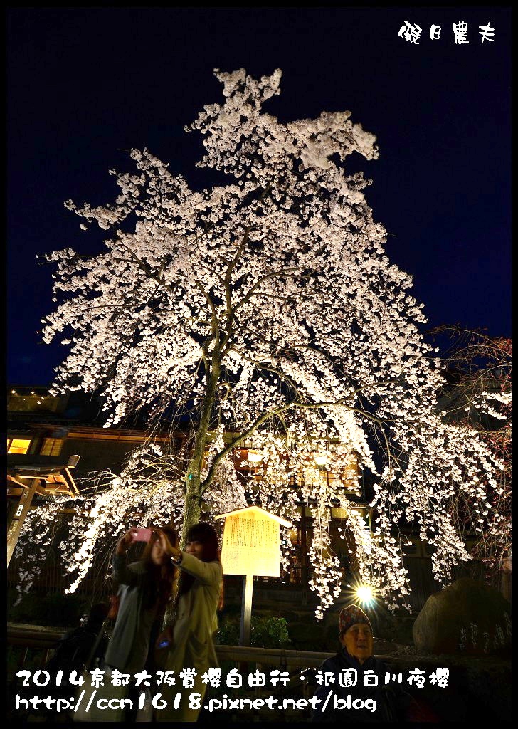 【日本旅遊】京都大阪賞櫻自由行．祇園白川夜櫻 @假日農夫愛趴趴照