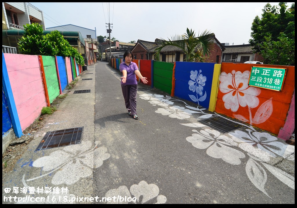 【彰化景點】假日何處去‧田尾海豐村彩繪村‧來和櫻木花道打籃球 @假日農夫愛趴趴照