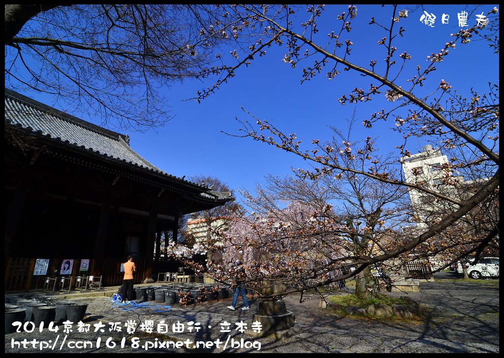 【日本旅遊】京都大阪賞櫻自由行．本山立本寺+一風堂拉麵 @假日農夫愛趴趴照