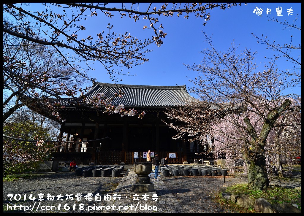 【日本旅遊】京都大阪賞櫻自由行．本山立本寺+一風堂拉麵 @假日農夫愛趴趴照