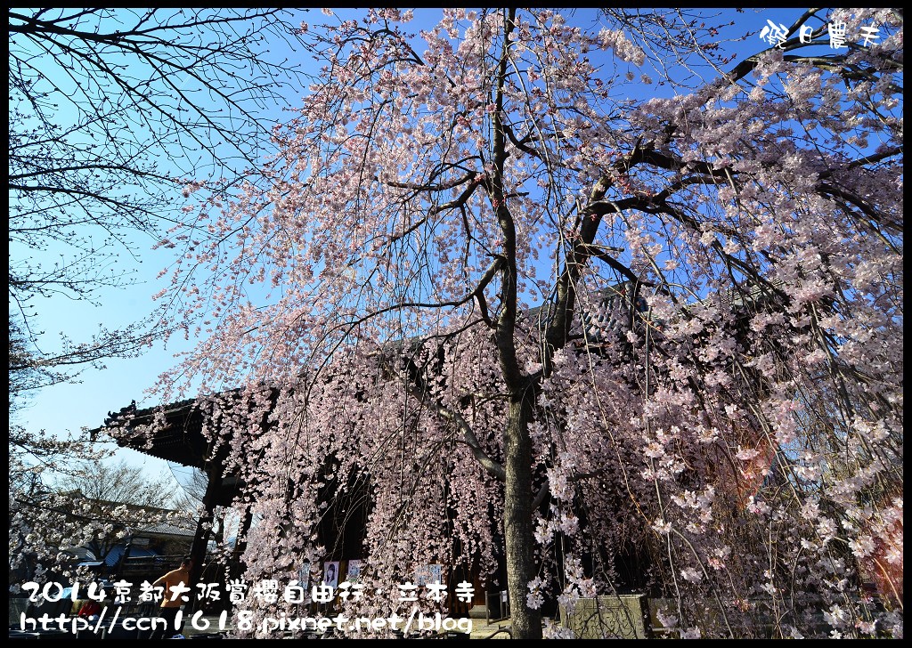 【日本旅遊】京都大阪賞櫻自由行．本山立本寺+一風堂拉麵 @假日農夫愛趴趴照