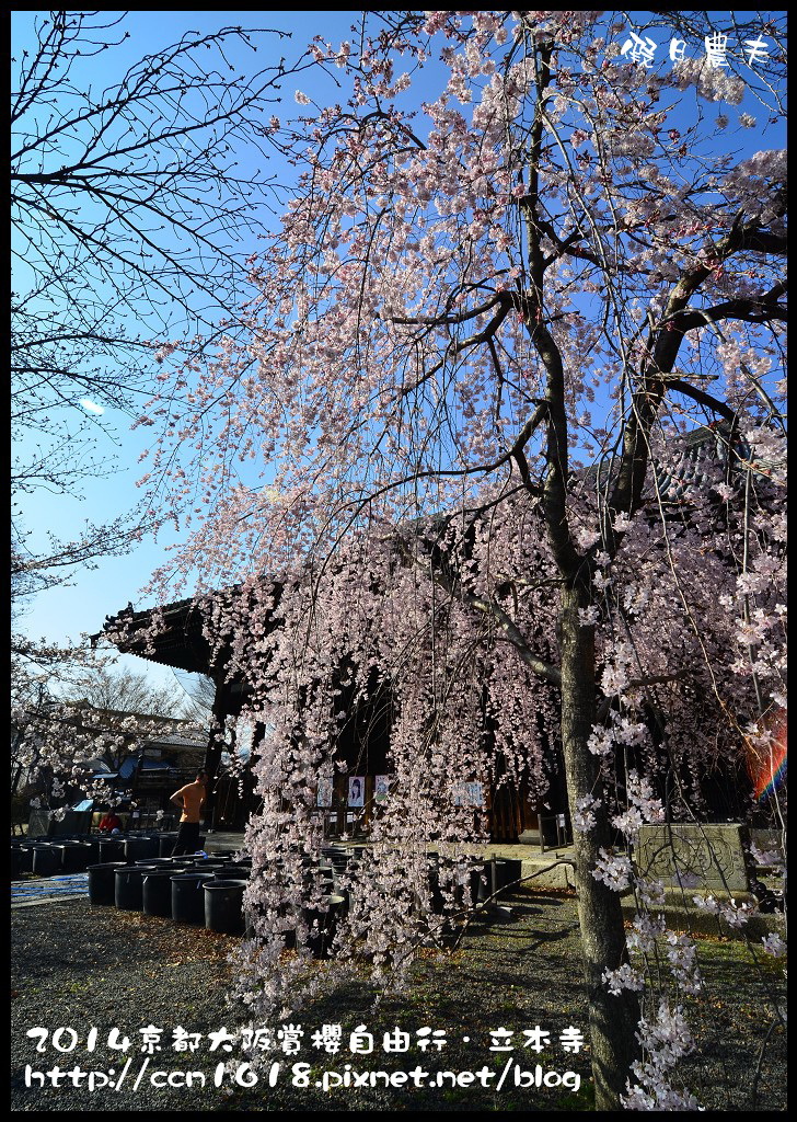 【日本旅遊】京都大阪賞櫻自由行．本山立本寺+一風堂拉麵 @假日農夫愛趴趴照