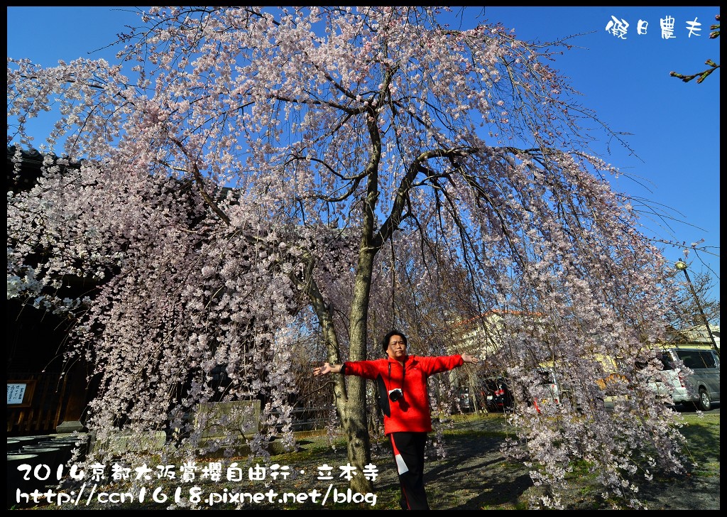 【日本旅遊】京都大阪賞櫻自由行．本山立本寺+一風堂拉麵 @假日農夫愛趴趴照