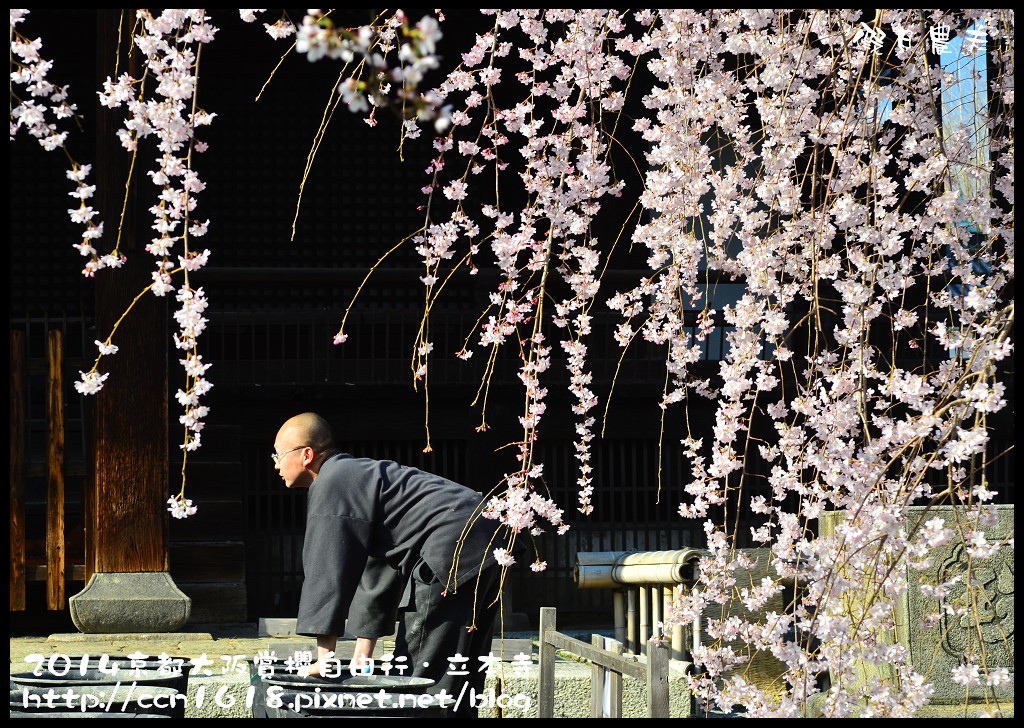 【日本旅遊】京都大阪賞櫻自由行．本山立本寺+一風堂拉麵 @假日農夫愛趴趴照