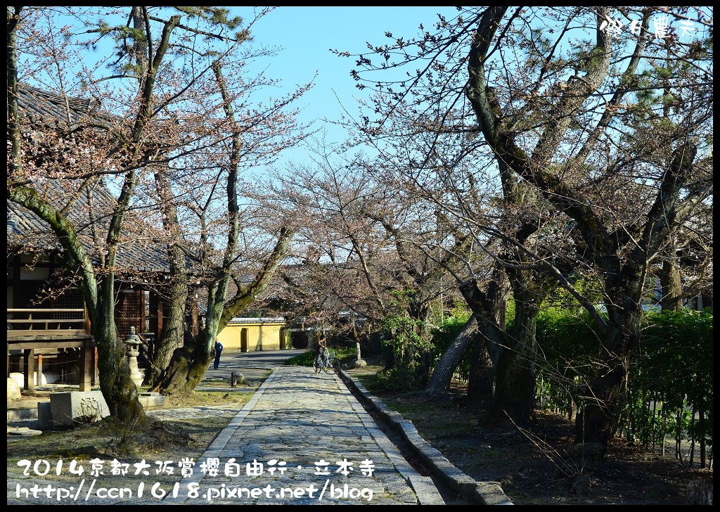 【日本旅遊】京都大阪賞櫻自由行．本山立本寺+一風堂拉麵 @假日農夫愛趴趴照