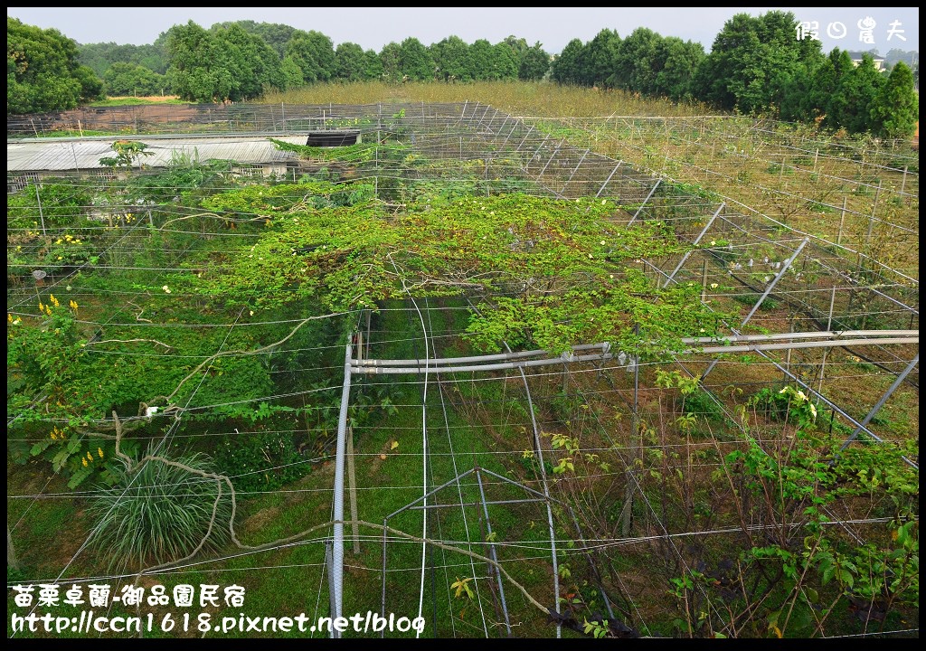 【苗栗住宿】卓蘭-御品園民宿‧親子旅遊共享農村生活 @假日農夫愛趴趴照