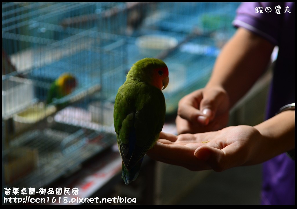 【苗栗住宿】卓蘭-御品園民宿‧親子旅遊共享農村生活 @假日農夫愛趴趴照