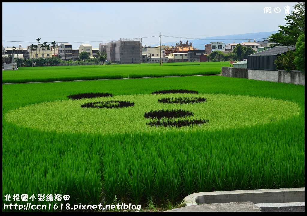 【南投景點】北投國小彩繪稻田‧看圓仔不用上台北 @假日農夫愛趴趴照