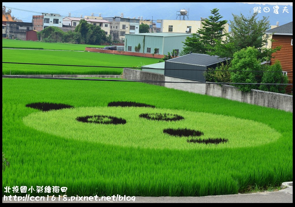 【南投景點】北投國小彩繪稻田‧看圓仔不用上台北 @假日農夫愛趴趴照