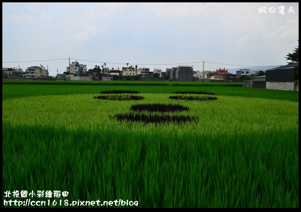 【南投景點】北投國小彩繪稻田‧看圓仔不用上台北 @假日農夫愛趴趴照