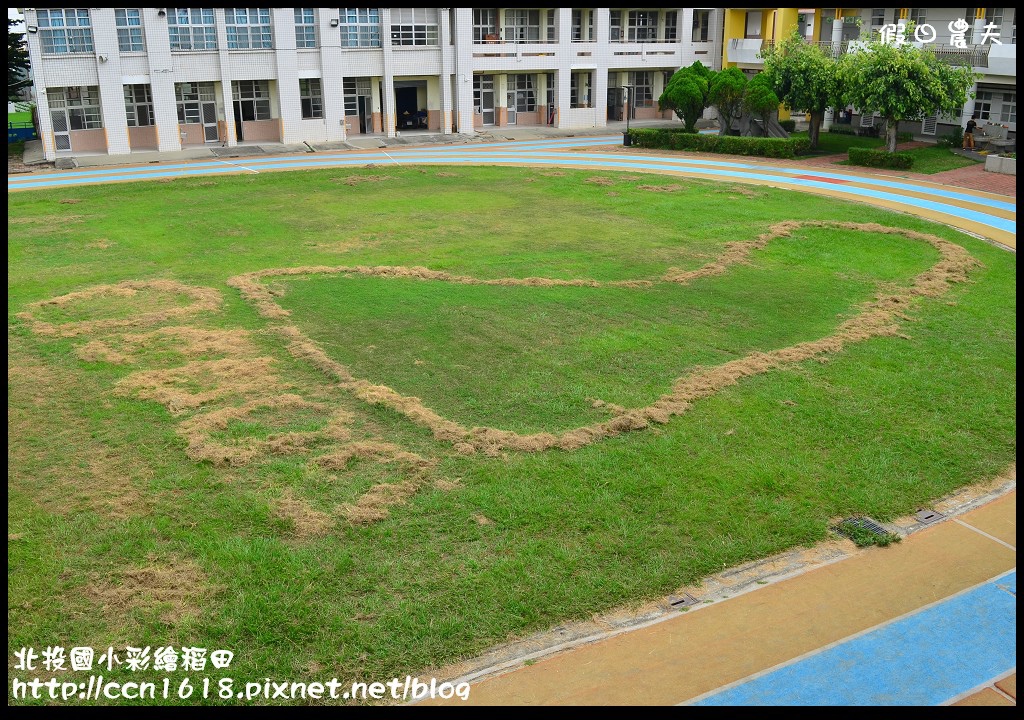 【南投景點】北投國小彩繪稻田‧看圓仔不用上台北 @假日農夫愛趴趴照