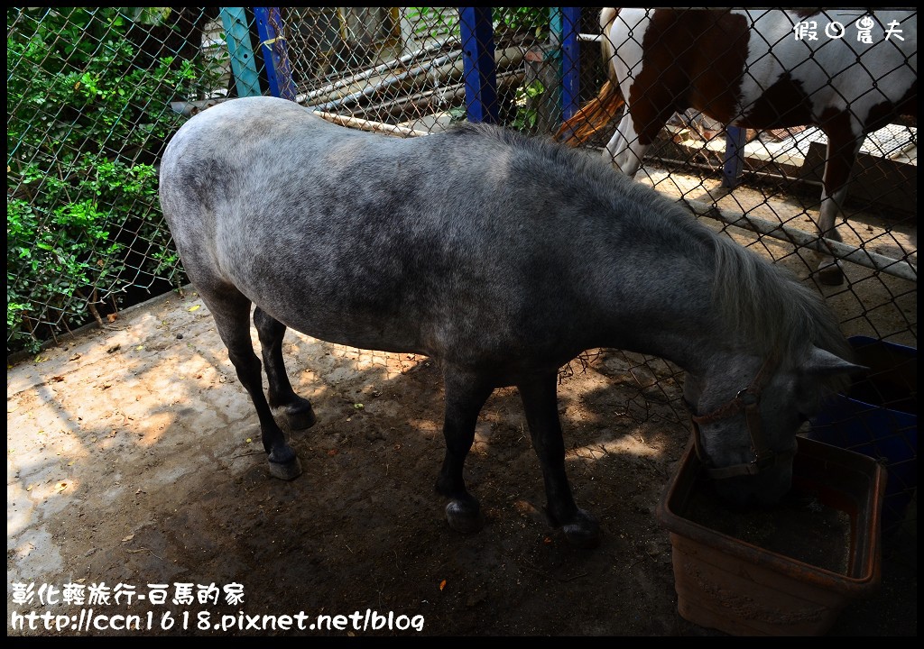 【彰化景點】線西輕旅行-白馬的家．免出國看地中海希臘風建築 @假日農夫愛趴趴照