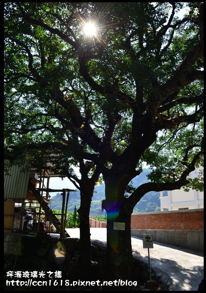 【南投景點】坪瀨琉璃光之橋休閒健行園區‧南投也有玻璃吊橋 @假日農夫愛趴趴照