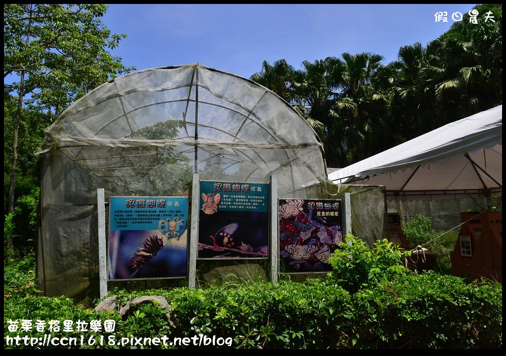 【苗栗景點】香格里拉樂園‧魔瓜藝術嘉年華 @假日農夫愛趴趴照