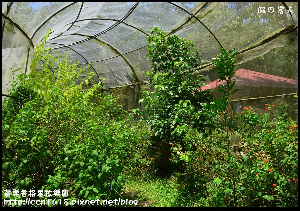 【苗栗景點】香格里拉樂園‧魔瓜藝術嘉年華 @假日農夫愛趴趴照