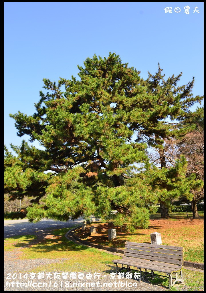 【日本旅遊】2014京都大阪賞櫻自由行．京都御苑．枝垂櫻盛開 @假日農夫愛趴趴照