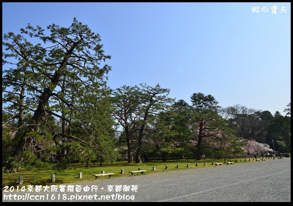 【日本旅遊】2014京都大阪賞櫻自由行．京都御苑．枝垂櫻盛開 @假日農夫愛趴趴照