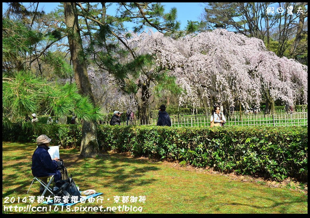 【日本旅遊】2014京都大阪賞櫻自由行．京都御苑．枝垂櫻盛開 @假日農夫愛趴趴照