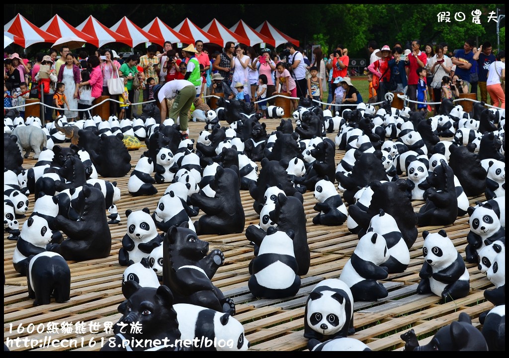 【活動】1600紙貓熊世界之旅‧萌翻中興新村 @假日農夫愛趴趴照