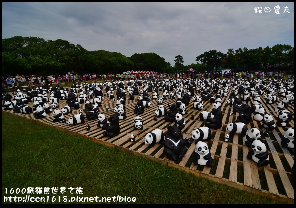 【活動】1600紙貓熊世界之旅‧萌翻中興新村 @假日農夫愛趴趴照