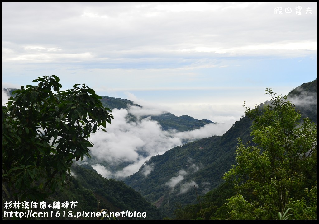 南投住宿|杉林溪森林生態渡假園區小木屋‧避暑兼賞繡球花 @假日農夫愛趴趴照