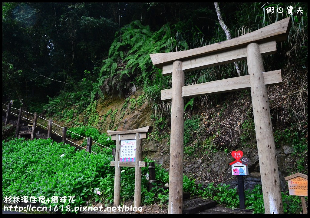 南投住宿|杉林溪森林生態渡假園區小木屋‧避暑兼賞繡球花 @假日農夫愛趴趴照