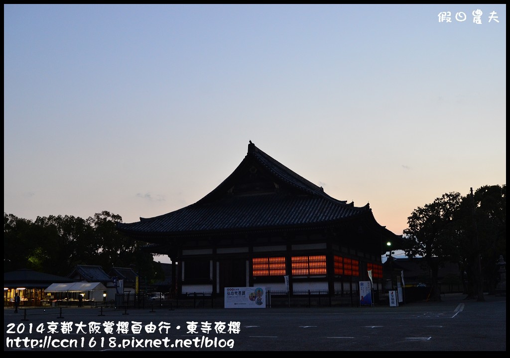 【日本旅遊】京都大阪賞櫻自由行．東寺夜櫻．怎麼可以這麼漂亮 @假日農夫愛趴趴照