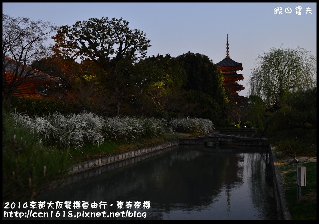 【日本旅遊】京都大阪賞櫻自由行．東寺夜櫻．怎麼可以這麼漂亮 @假日農夫愛趴趴照