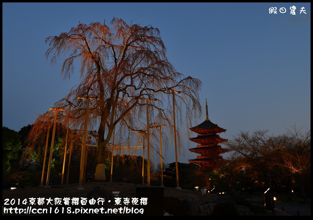 【日本旅遊】京都大阪賞櫻自由行．東寺夜櫻．怎麼可以這麼漂亮 @假日農夫愛趴趴照