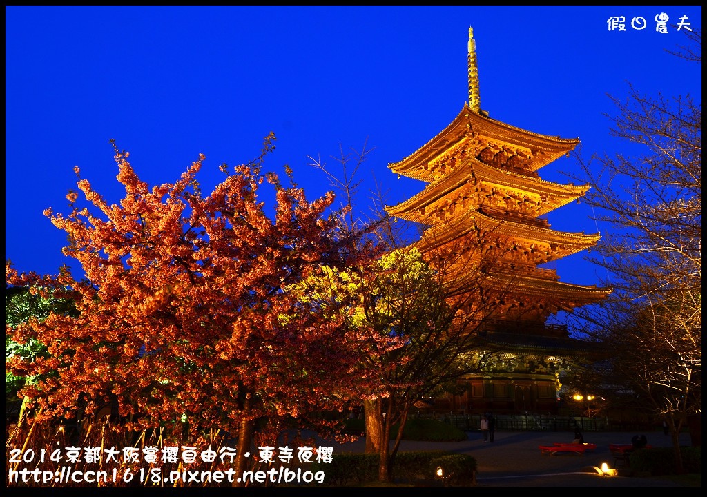 【日本旅遊】京都大阪賞櫻自由行．東寺夜櫻．怎麼可以這麼漂亮 @假日農夫愛趴趴照