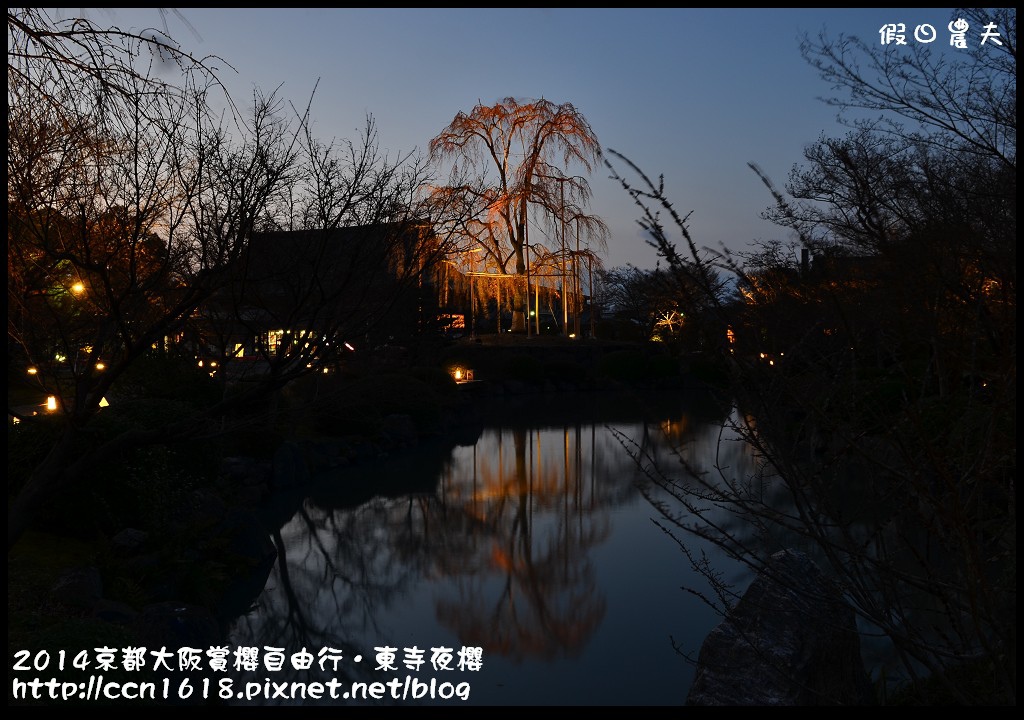 【日本旅遊】京都大阪賞櫻自由行．東寺夜櫻．怎麼可以這麼漂亮 @假日農夫愛趴趴照