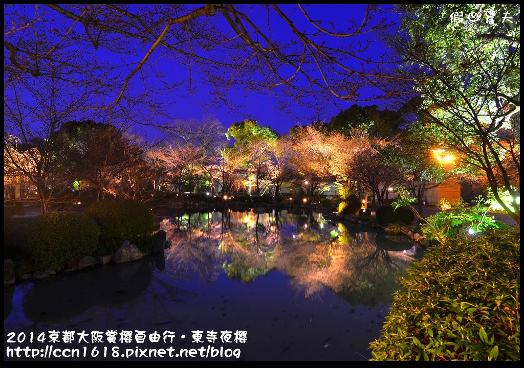 【日本旅遊】京都大阪賞櫻自由行．東寺夜櫻．怎麼可以這麼漂亮 @假日農夫愛趴趴照