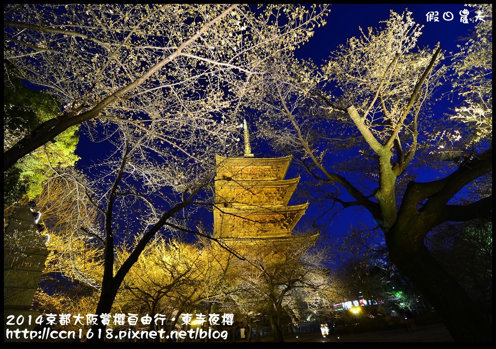 【日本旅遊】京都大阪賞櫻自由行．東寺夜櫻．怎麼可以這麼漂亮 @假日農夫愛趴趴照