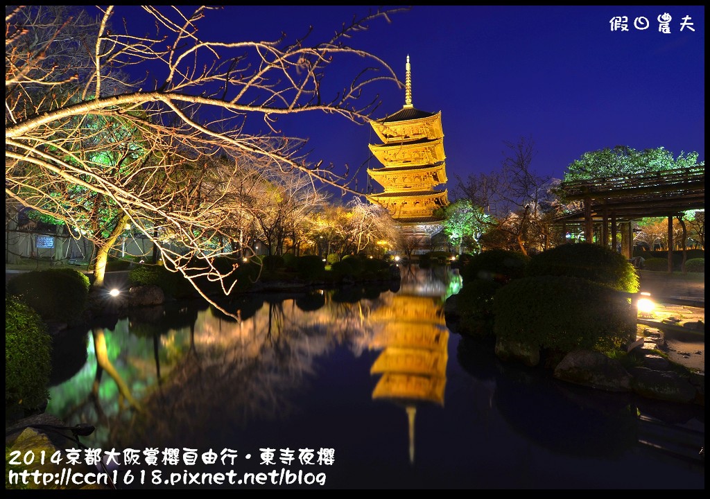 【日本旅遊】京都大阪賞櫻自由行．東寺夜櫻．怎麼可以這麼漂亮 @假日農夫愛趴趴照