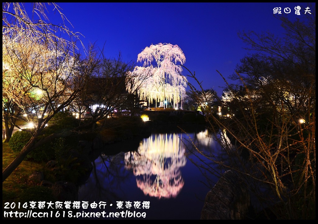 【日本旅遊】京都大阪賞櫻自由行．東寺夜櫻．怎麼可以這麼漂亮 @假日農夫愛趴趴照