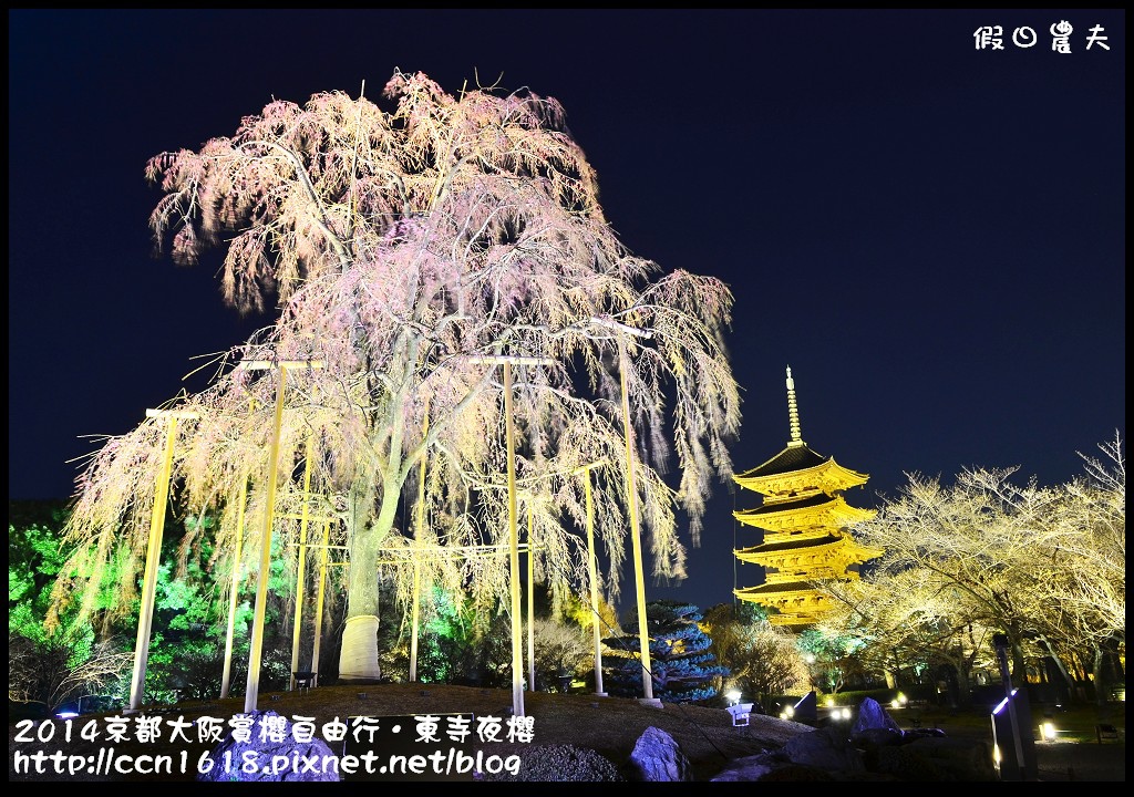 【日本旅遊】京都大阪賞櫻自由行．東寺夜櫻．怎麼可以這麼漂亮 @假日農夫愛趴趴照