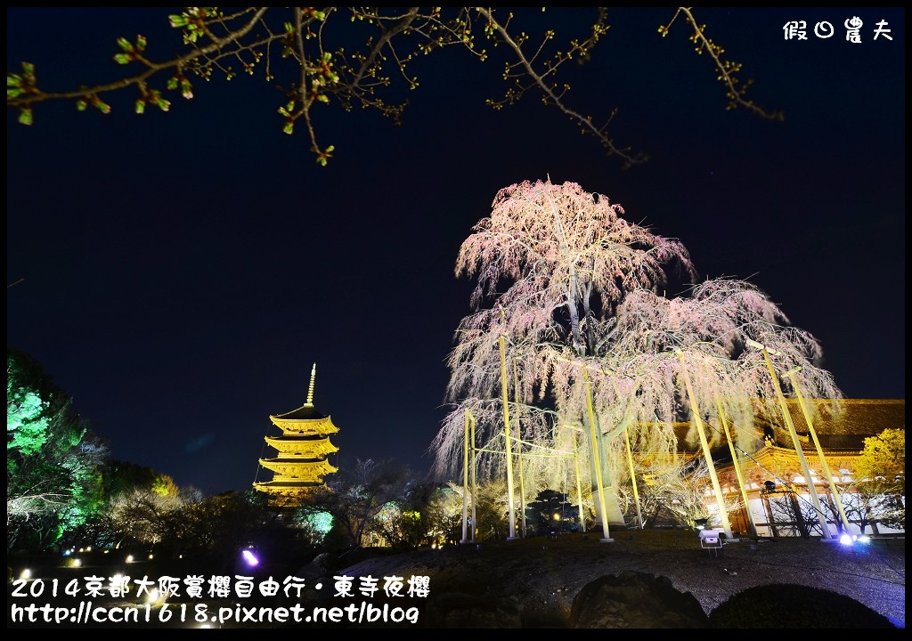 【日本旅遊】京都大阪賞櫻自由行．東寺夜櫻．怎麼可以這麼漂亮 @假日農夫愛趴趴照